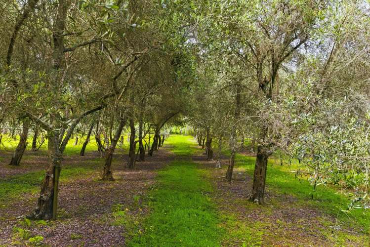 258 Waitohu Valley Road Otaki_45