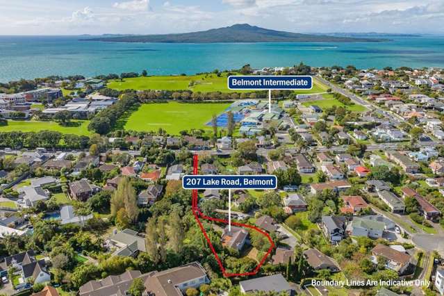 207 Lake Road Belmont_4