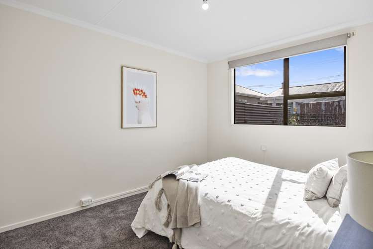 123f Macandrew Road South Dunedin_5