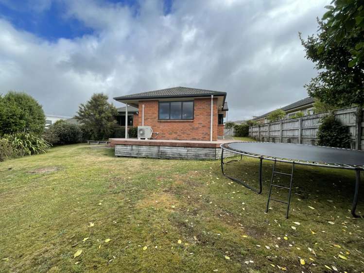 5 Catlins Glen Aotea_20