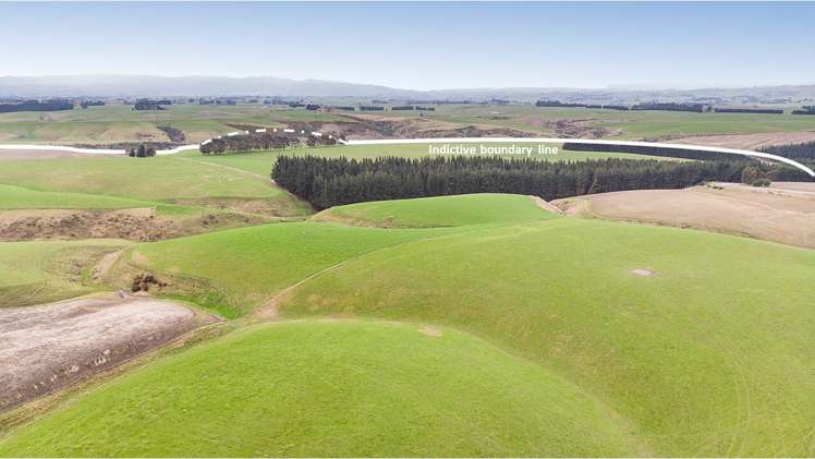 675 Black Bridge Road Clutha_6