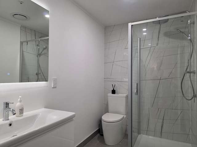 30 Boardman Lane Auckland Central_4