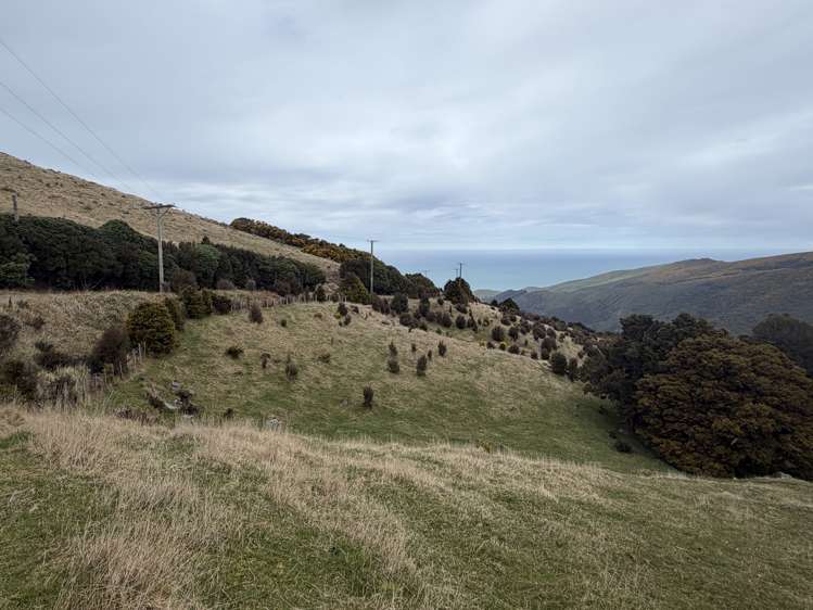 490 Long Bay Road Akaroa_35