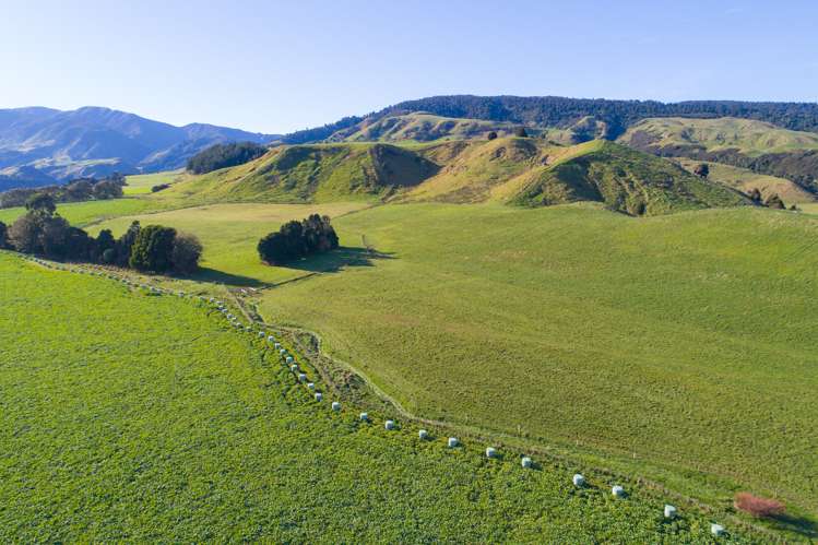 2/230 Clyde Road Burnside_4