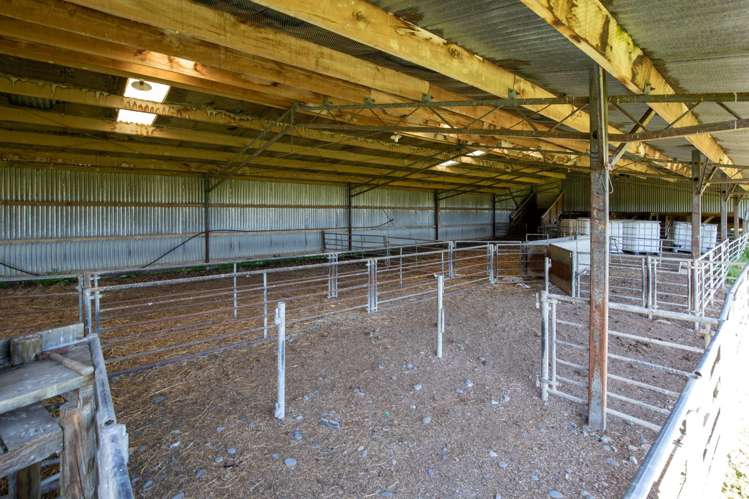 270 Downs Road Cheviot_16