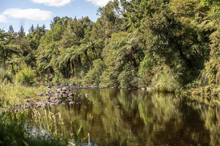 209 Franklin Road Waihi_39