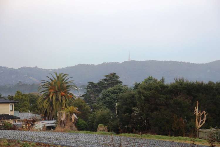 39 View Road Henderson_7