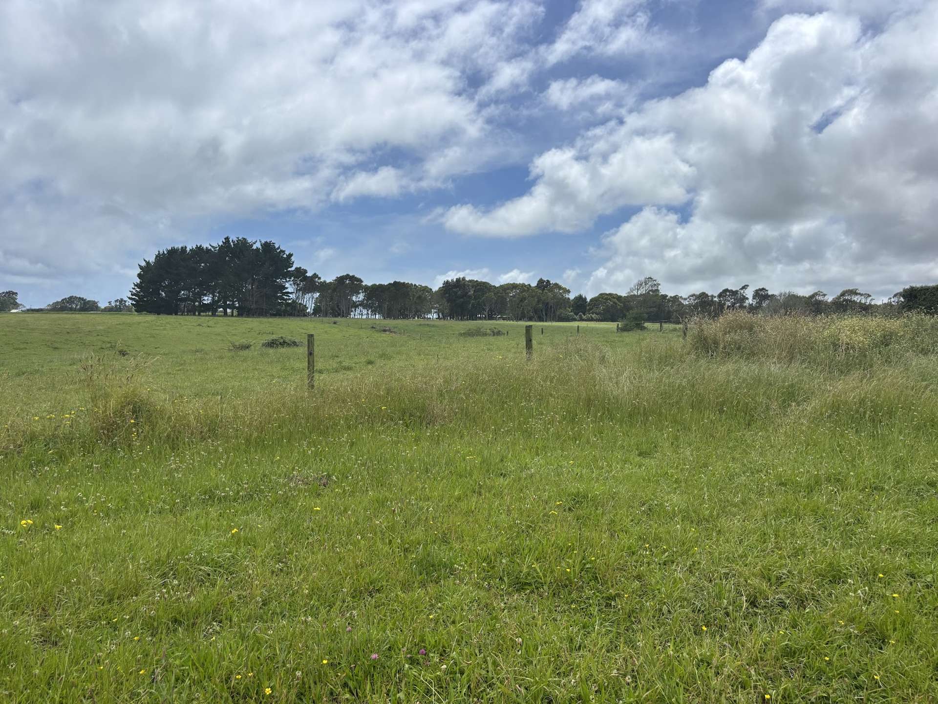 33F Airport Drive New Plymouth_0