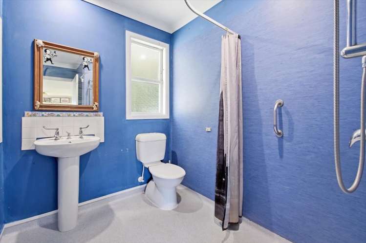 912 Whakamarama Road Whakamarama_16