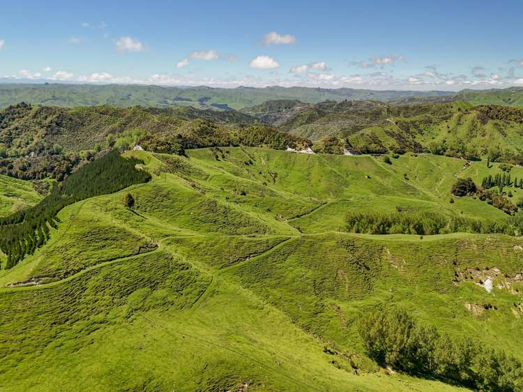 34 O’Neills Road Kakatahi_26