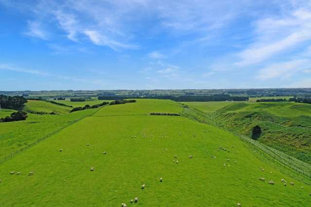 863b Mount Biggs Halcombe Road Halcombe_2