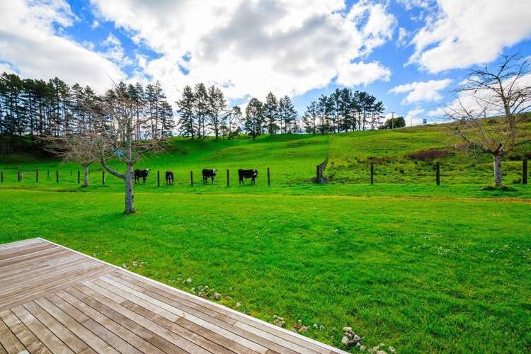 256 State Highway 16 Kumeu_10