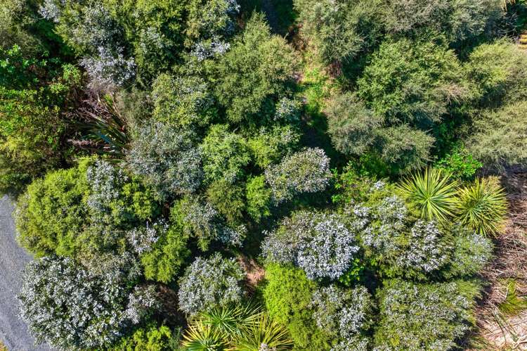 412a Onewhero-Tuakau Bridge Road Onewhero_24