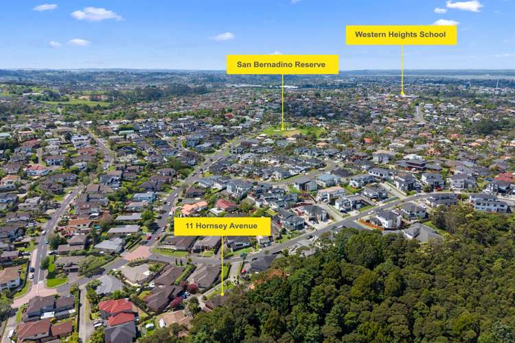 11 Hornsey Avenue Henderson_16