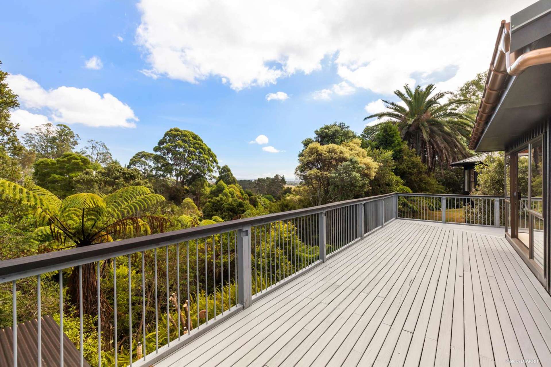 143 Wymer Road Glenbrook_0