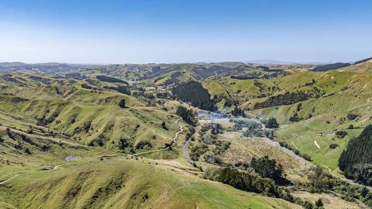 1823 Opaki Kaiparoro Road Mauriceville_2