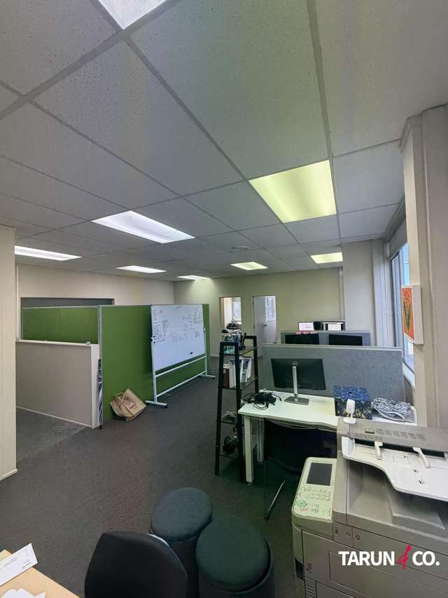 41 Totara Avenue New Lynn_4