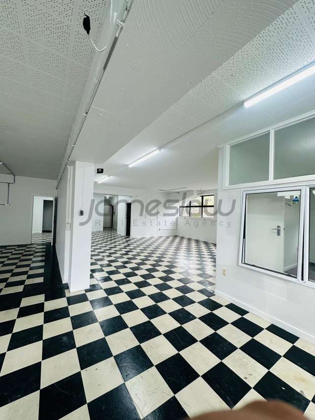 21A Karaka Street Eden Terrace_2