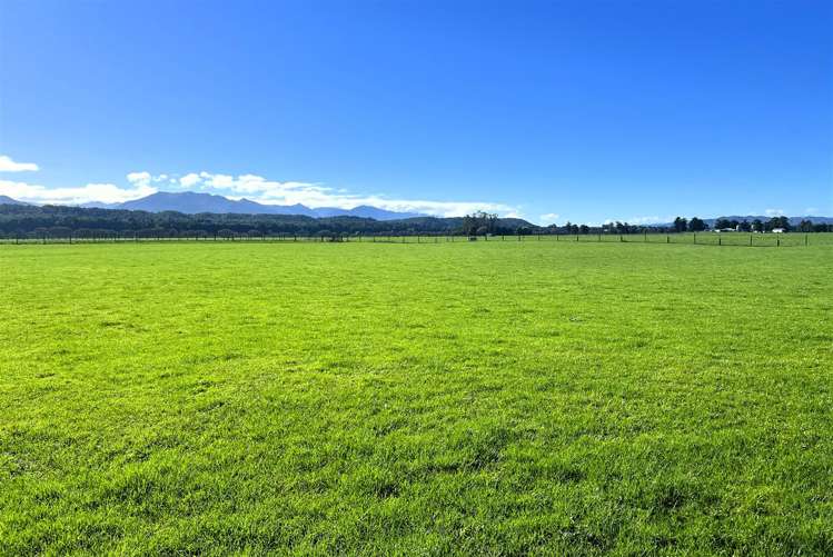 4357 State Highway 7 Totara Flat_29