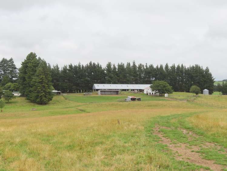 160 Ashley Clinton Rd Waipukurau_8