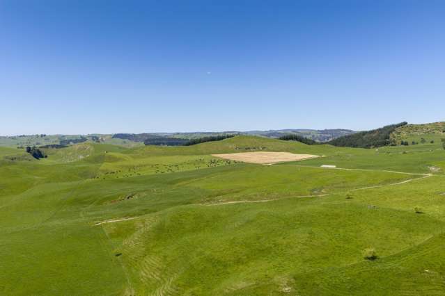 78 Smith Road Otorohanga Surrounds_3