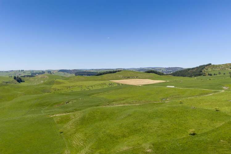 78 Smith Road Otorohanga Surrounds_3