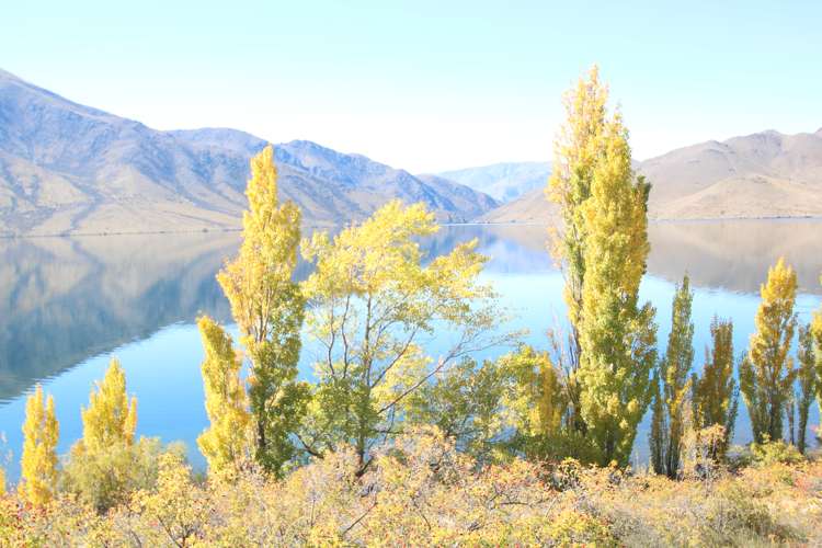 47 Black Peak Road Omarama_17