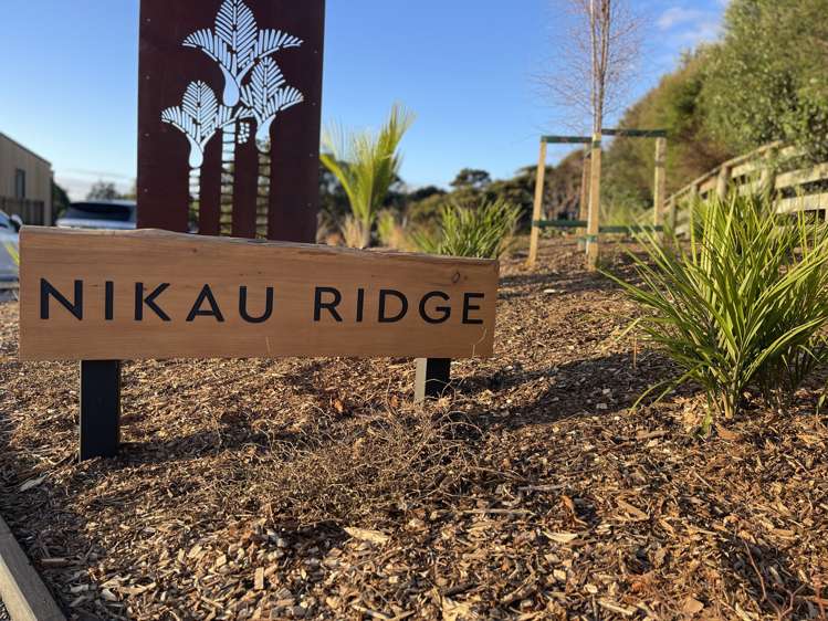 983b Hibiscus Coast Highway Waiwera_1