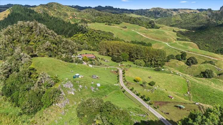 747 Boddie Road Waitomo_27