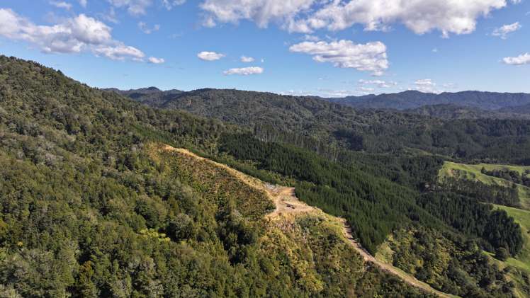 - Waioeka Pa Road Opotiki_20