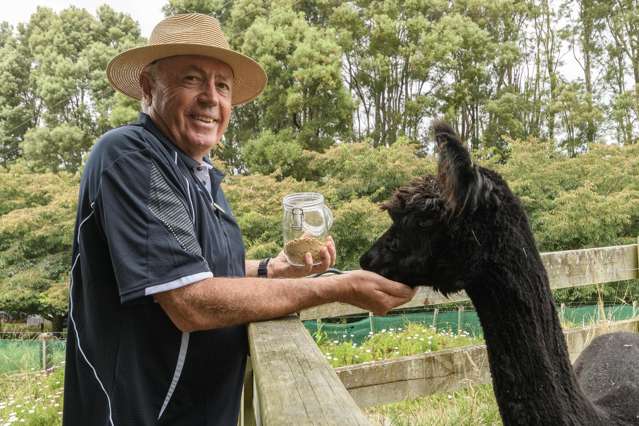 18B Plummer Road Whakamarama_3