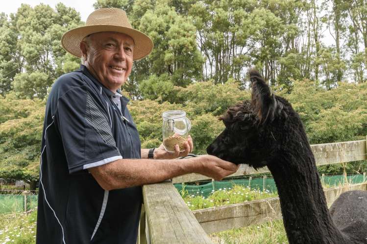 18B Plummer Road Whakamarama_3