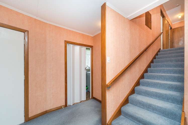 27 Haydon Street Roslyn_18