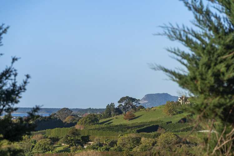 101 Turntable Hill Road Whakamarama_21