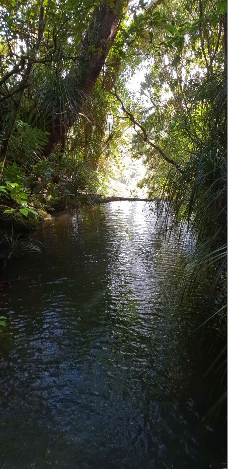 448 Moir Hill Road Warkworth_6