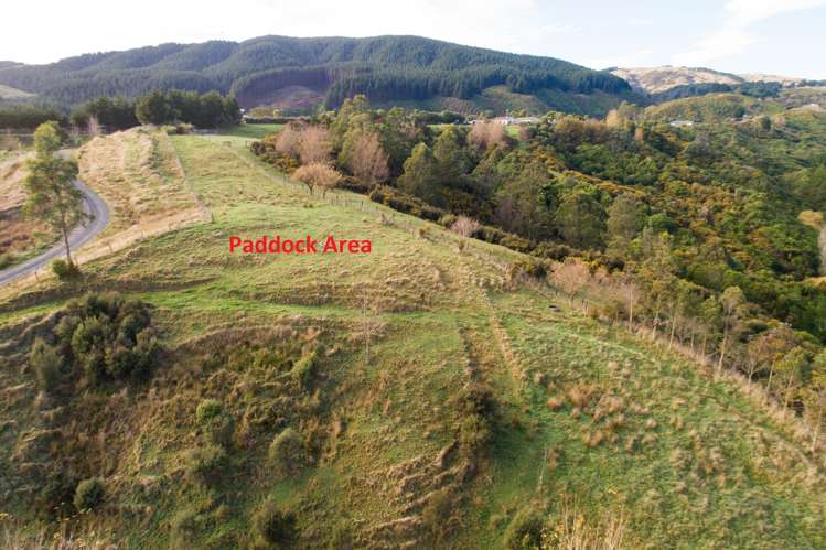 82 County Heights Drive Aokautere_2