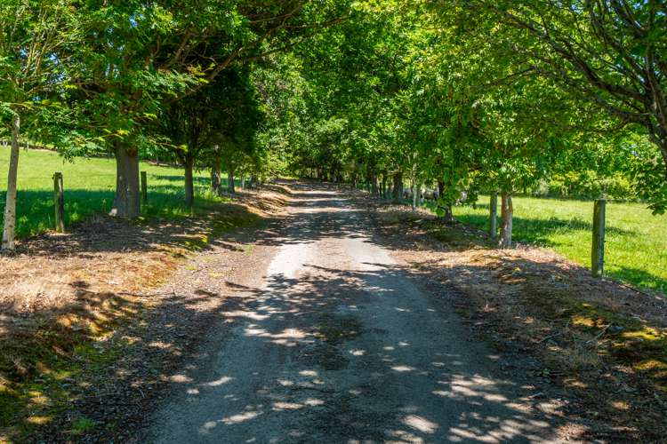 119 Landsborough Road Otipua Creek_15