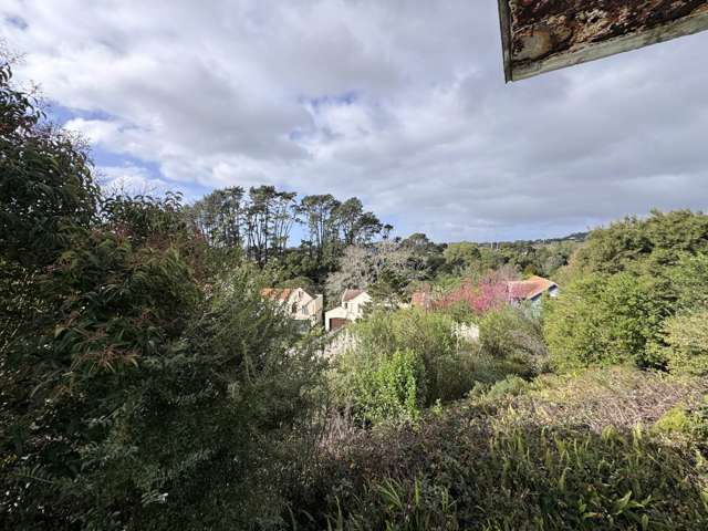 3/1568 Great North Road Waterview_2