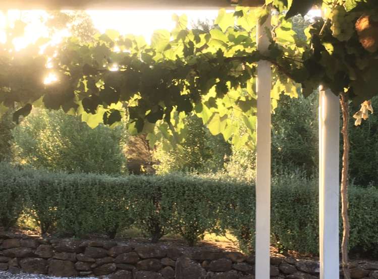 Address withheld 10334_17