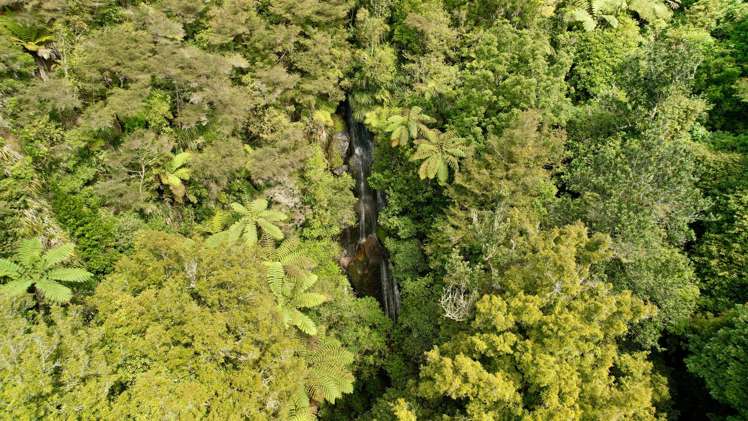 717 Wright Road Aongatete_17