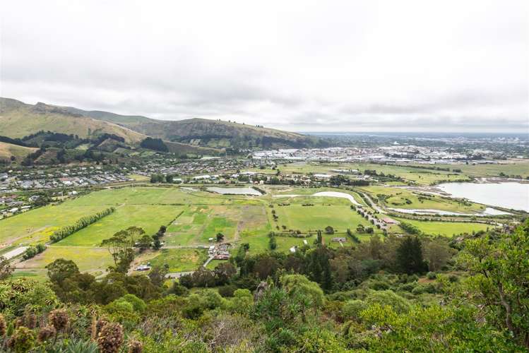 184 Major Hornbrook Road Mount Pleasant_4