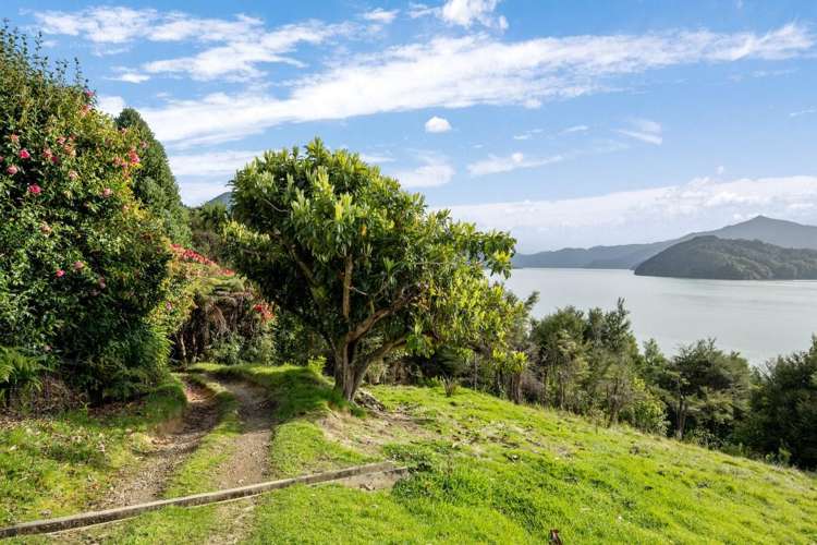 Black Point, Whatanihi. Marlborough Sounds_36