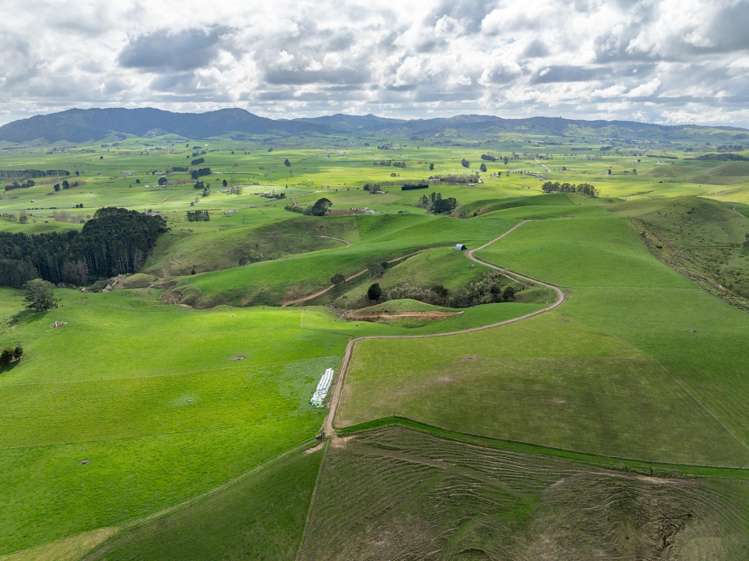 652 Tainui Road Morrinsville_6