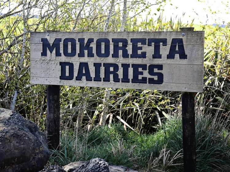 380 Matheson Road Catlins Surrounds_22