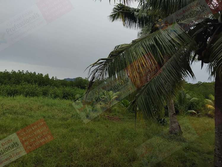 Address withheld Labasa_17