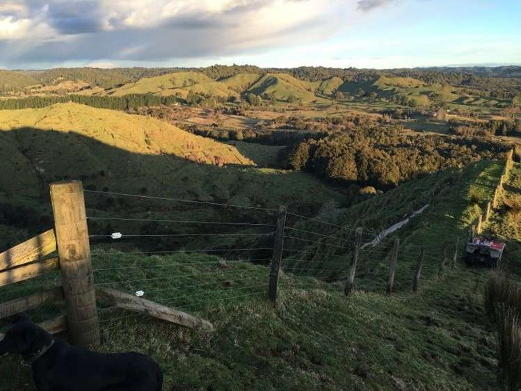 1427 Waitaanga Road Ohura_15