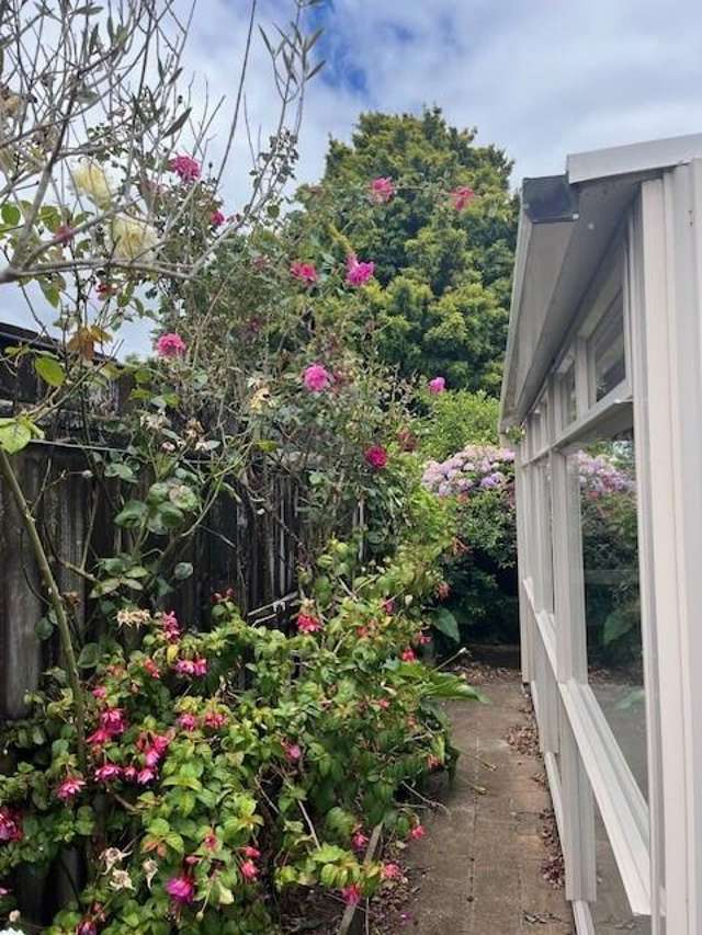 Address withheld Waihi_3