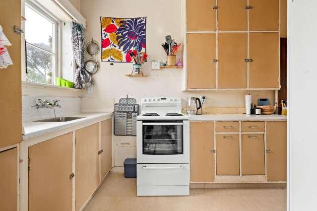 19 Plunket Terrace Hamilton East_3