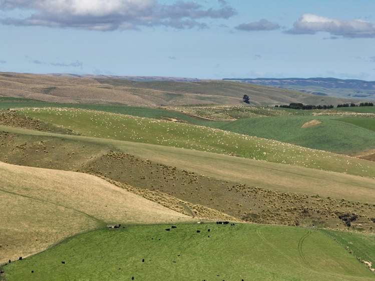 665-901 Tima Burn Road Teviot_26