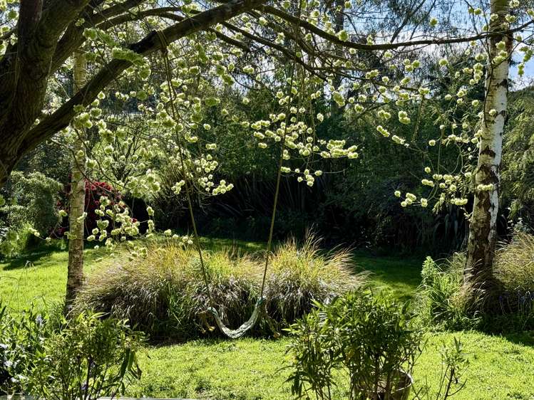 669 Whitstone-Five Forks Road Five Forks and Surrounds_31